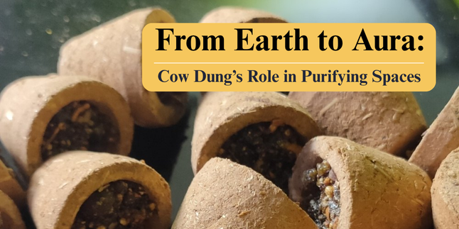 Purify with Tradition: The Sacred Power of Cow Dung in Pooja Rituals