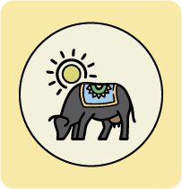 Divine Cow Essentials