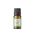 Buy Fresh Basil Diffuser Oil - Relaxing Home Ambience