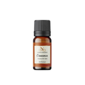 Shop Cinnamon Aroma Oil - Long-Lasting Spiced Fragrance