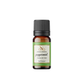 Buy Fresh Peppermint Diffuser Oil - Clean & Minty Space