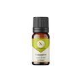 Shop Pure Lemongrass Aroma Oil for Ultrasonic Diffusers