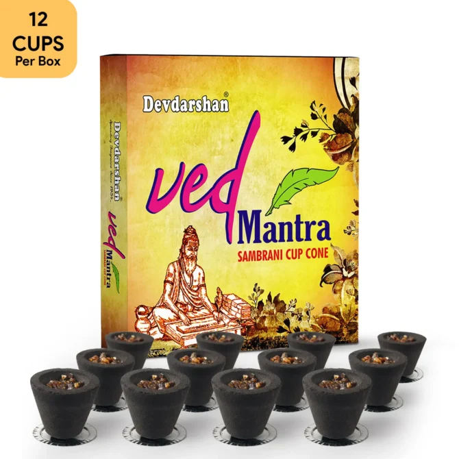 Ved Mantra Sambrani Havan Cups (12 Cups)